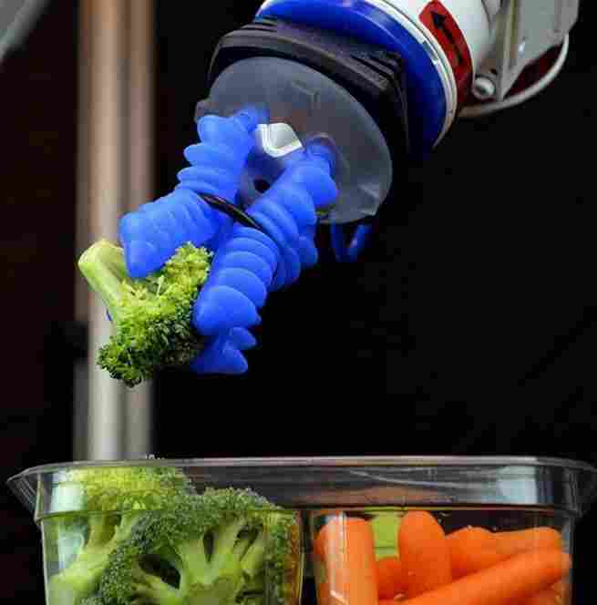 Grippers by Soft Robotics can handle food items.