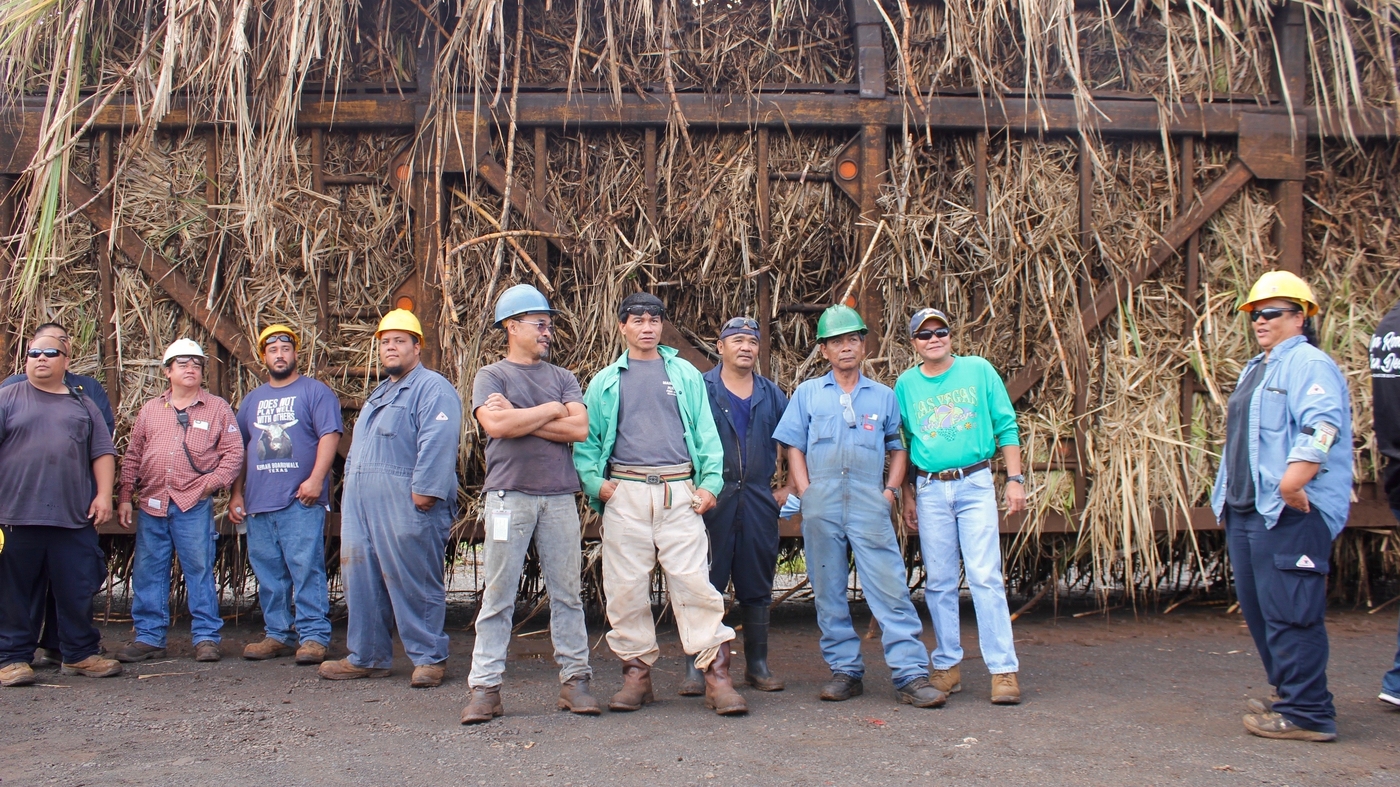 The Final Days Of Hawaiian Sugar The Salt NPR