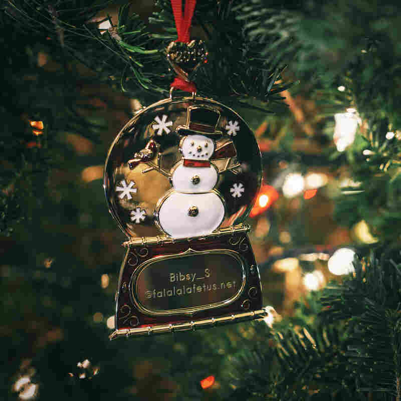 Kaitlin Stevenson's ornament