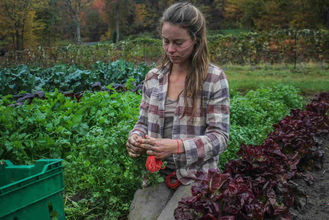 young woman in the field