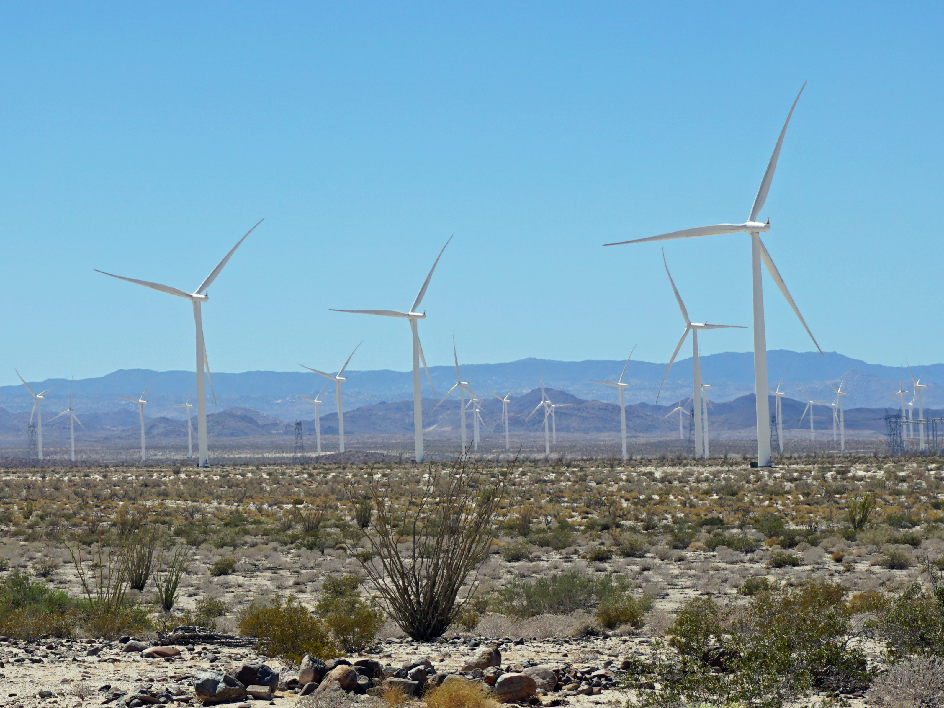 About a quarter of California's electricity comes from renewable sources, like this wind farm outside San Diego. (KQED)