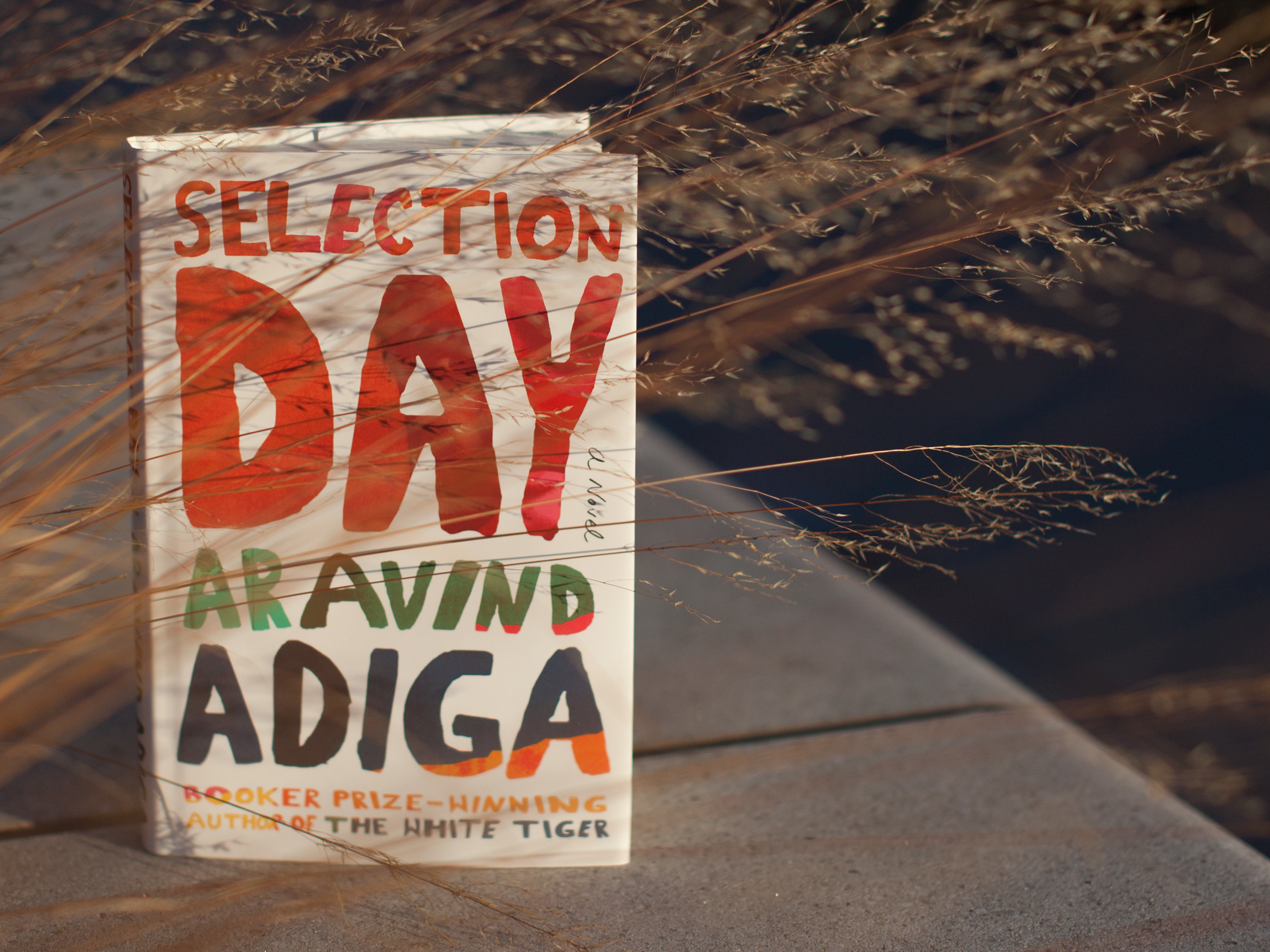 Cricket and difficult choices in 'Selection Day'