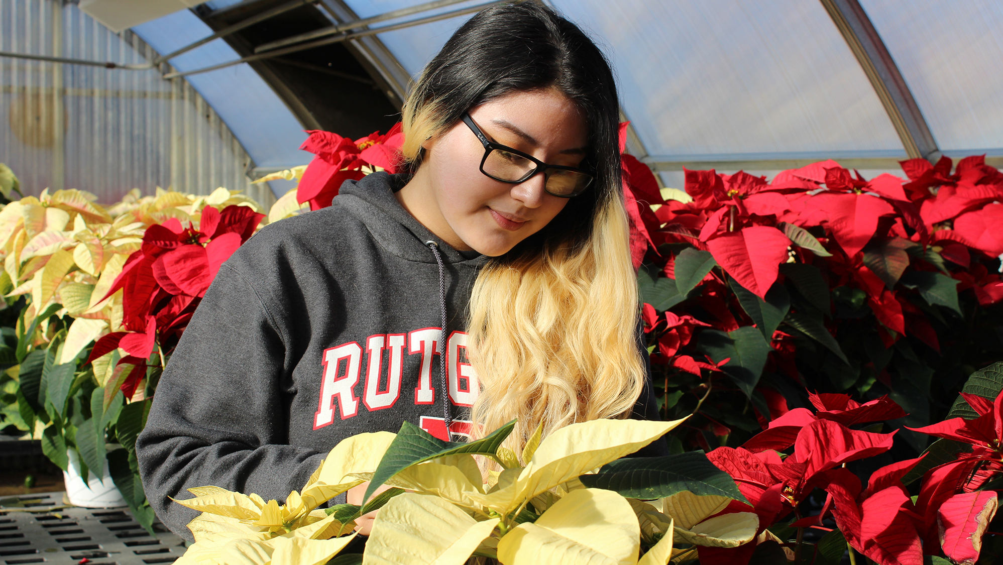 The Next Generation Of Farmers Is Being Trained In New York City High Schools