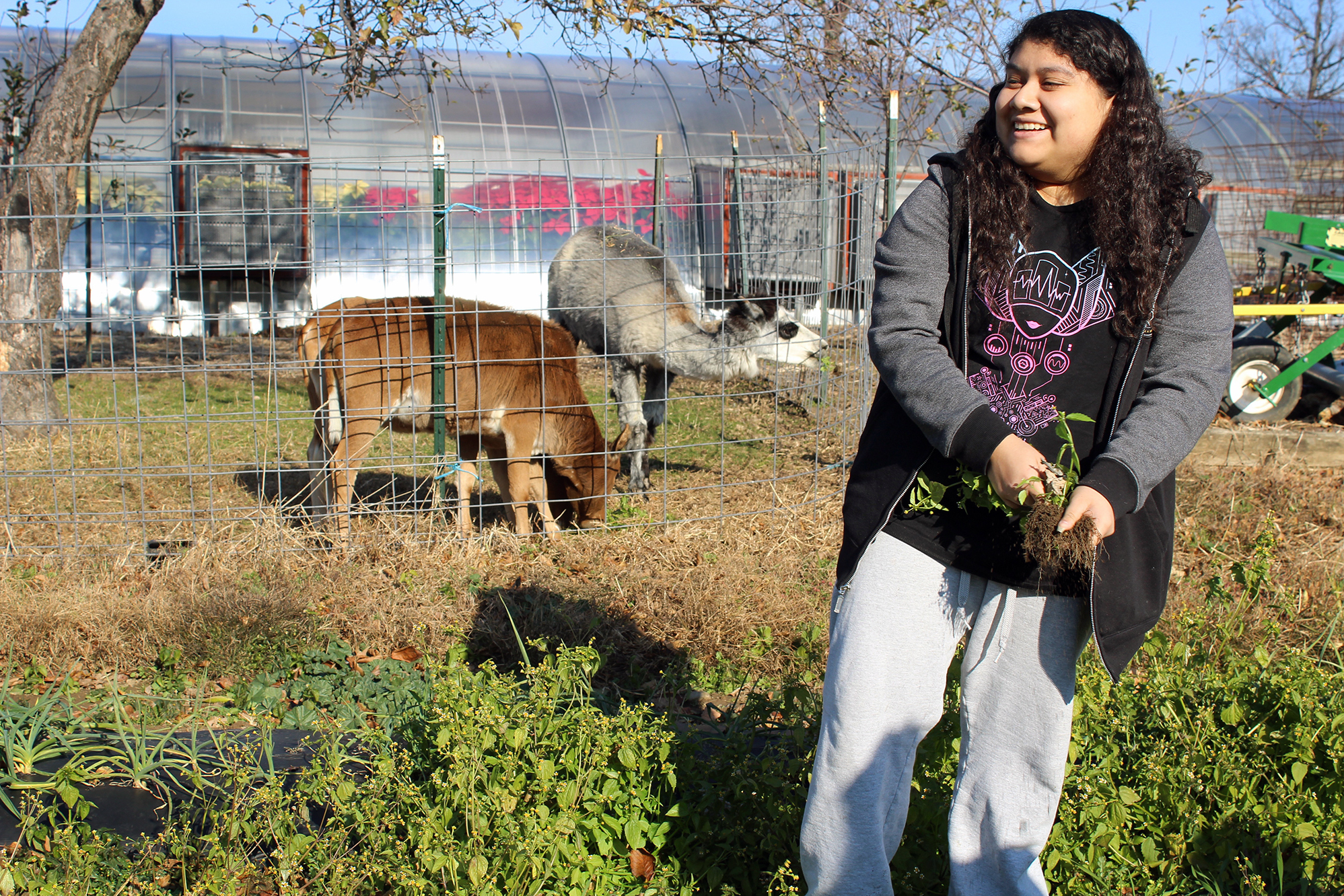 The next generation of farmers is being trained in New York City high schools