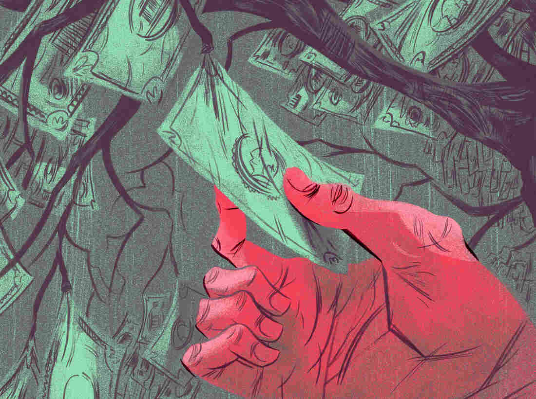 A hand holding money growing on a tree