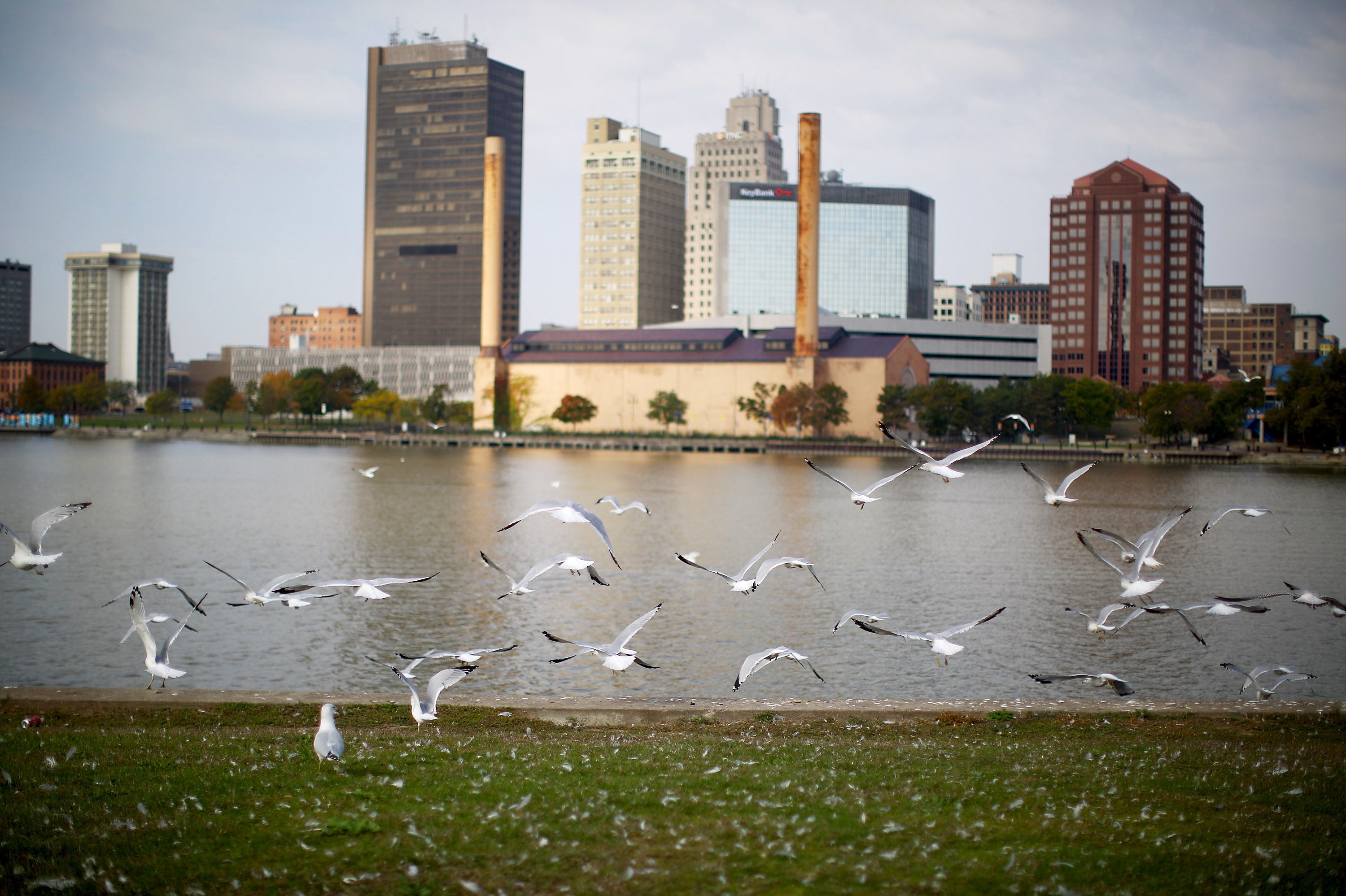 US Together, an organization that works to settle new refugees in Toledo, Ohio, helped 131 Syrian refugees from October 2015 through November 2016. (NPR)