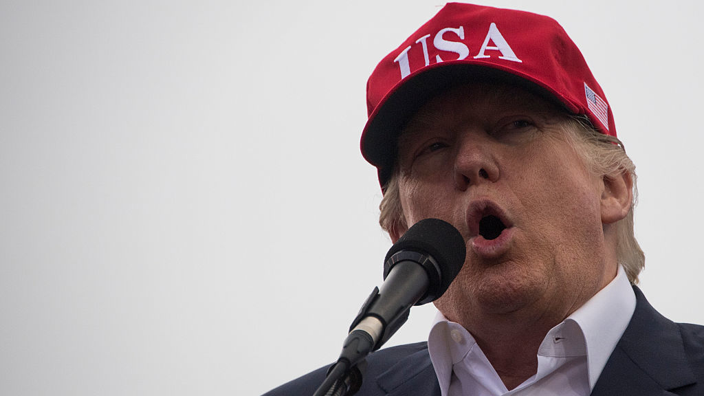President-elect Donald Trump addresses a &quot;Thank You Tour 2016&quot; rally last month in Mobile, Ala. (AFP/Getty Images)
