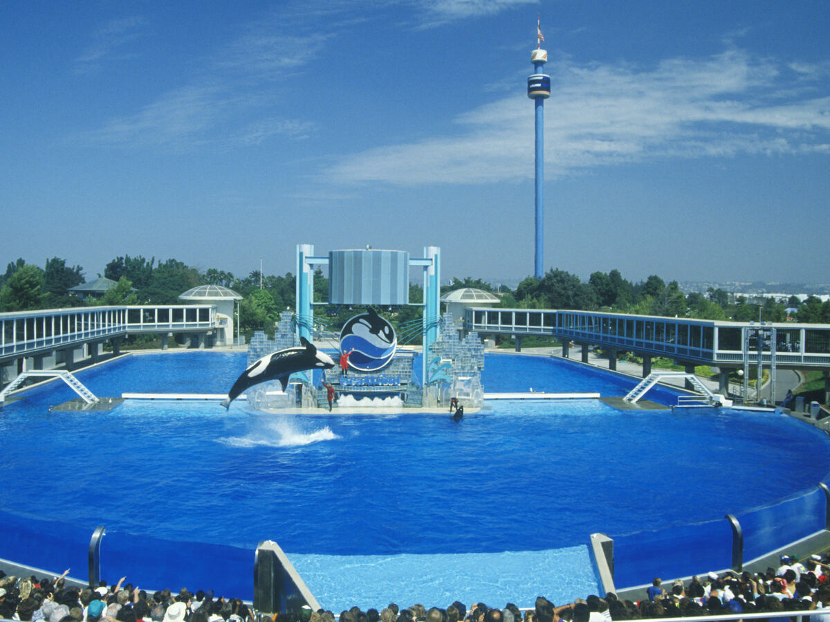 Orca Stadium SeaWorld Ends Its Orca Theatrics In San Diego, But Critics Aren't ...