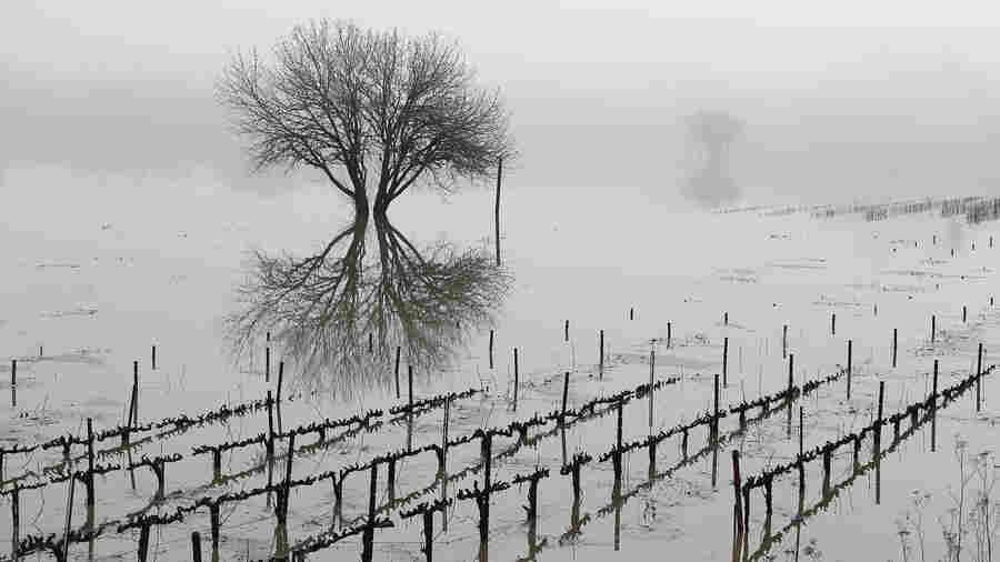 In California And Nevada, A Brief Respite Between Powerful Storms