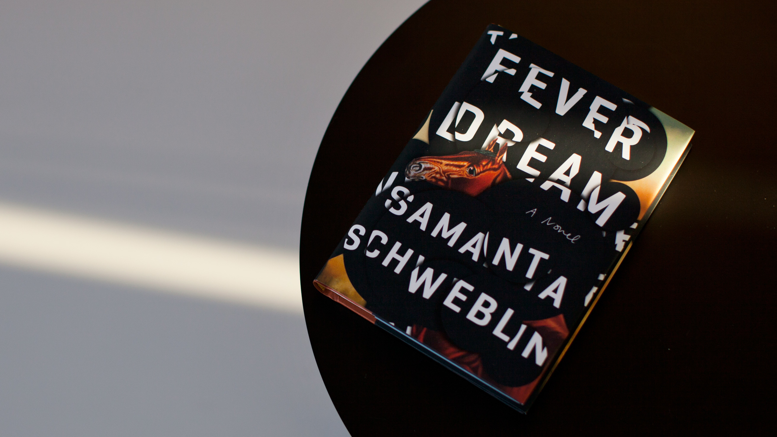 Book Review: 'Fever Dream,' By Samanta Schweblin : NPR