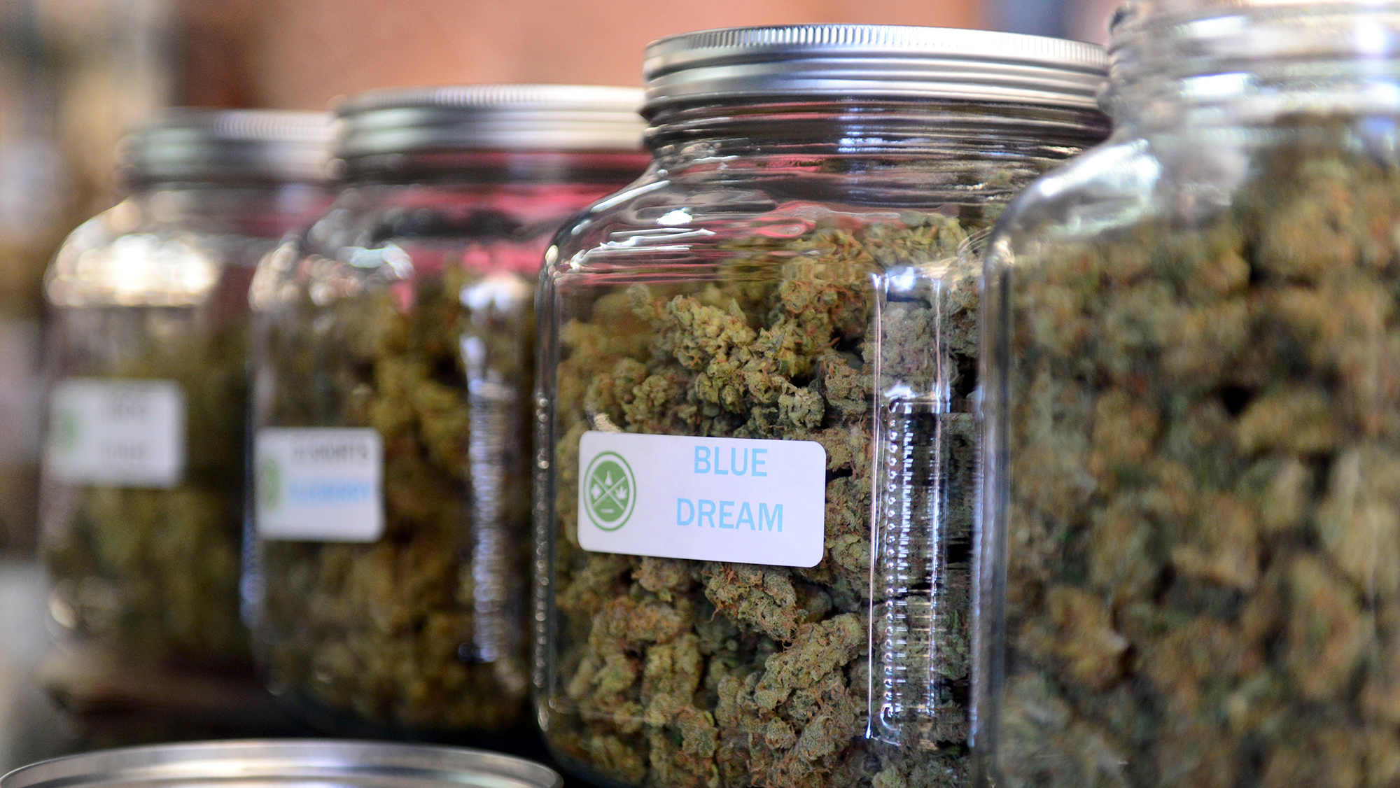 The highly rated variety of medical marijuana known as  "Blue Dream" was displayed among other strains at a cannabis farmers market in Los Angeles in 2014.