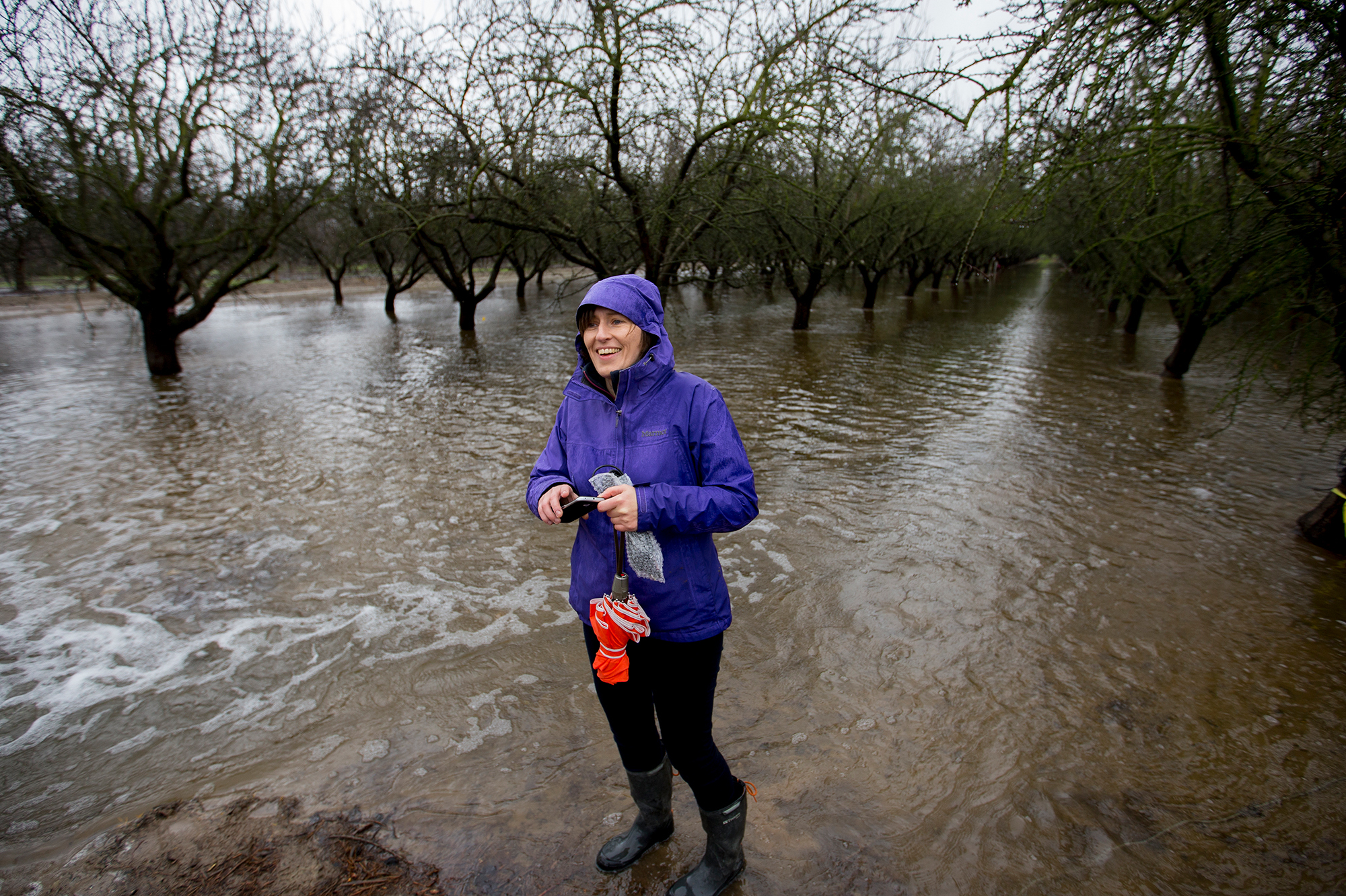 Helen Dahlke, a scientist from the University of California, Davis, stands in an almond orchard outside Modesto that's being deliberately flooded. This experiment is examining how flooding farmland in the winter can help replenish the state's depleted aquifers. (Joe Proudman / Courtesy of UC Davis)
