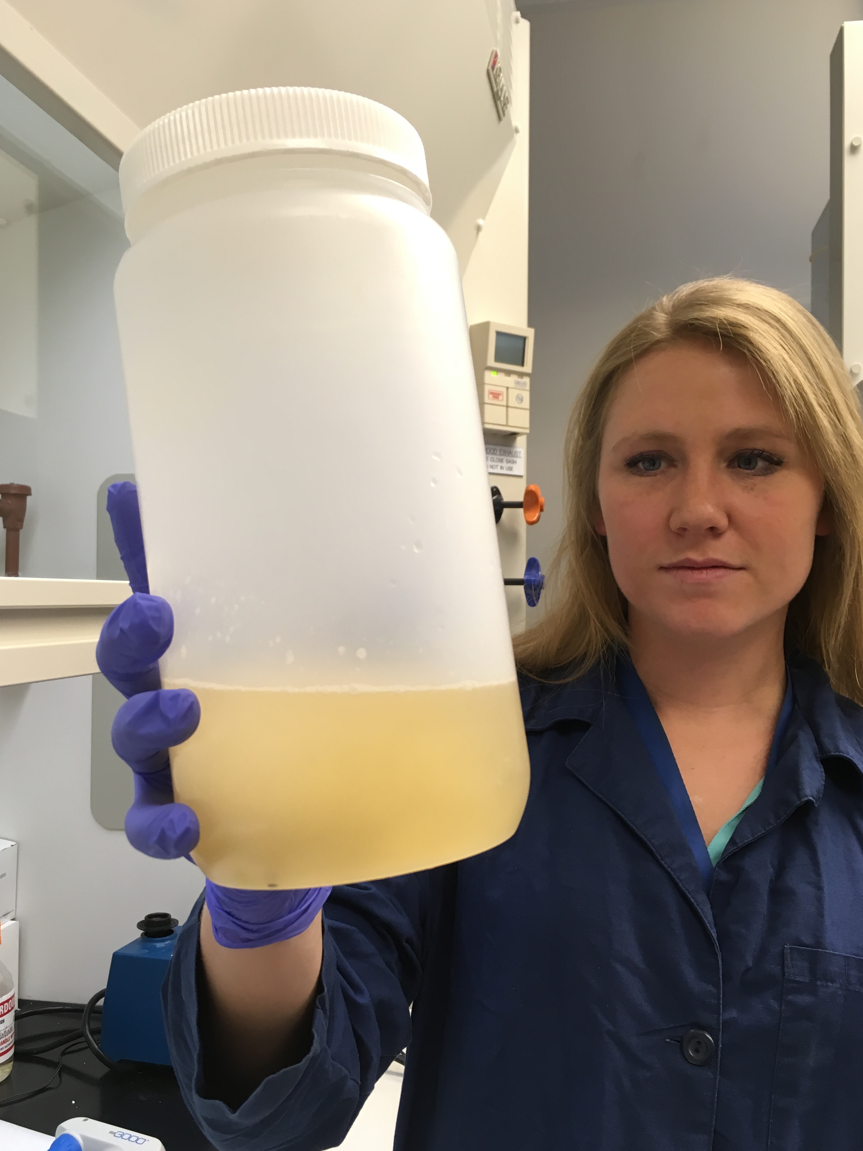 Scientists Get Down And Dirty With DNA To Track Wild Pigs 1 Kelly Williams of the National Wildlife Research Center in Fort Collins checks a sample of dirty water from Texas that she's about to analyze for bits of pig DNA.