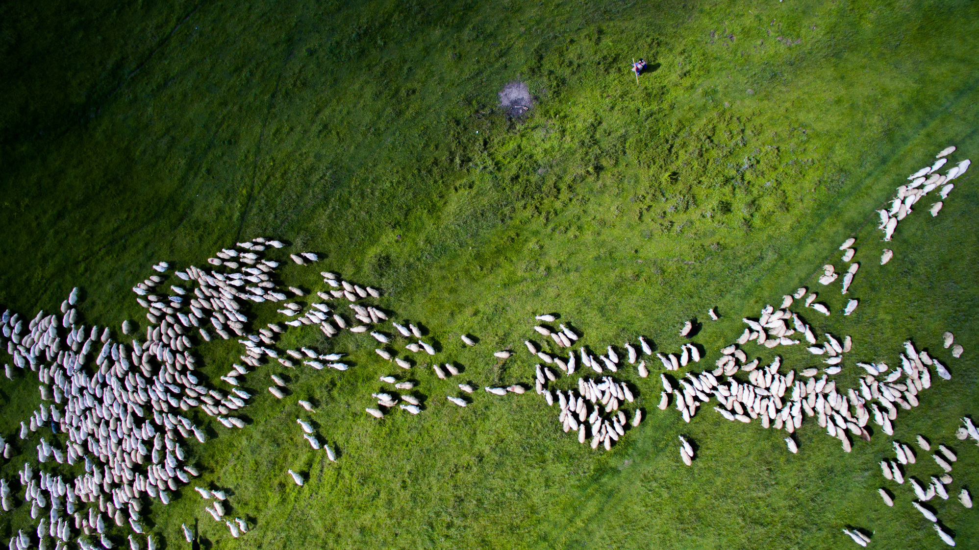PHOTOS: A Drone's View Of The World