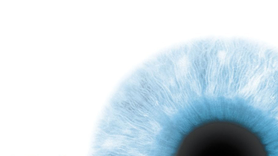 You, Too, Will Love Big Brother: A Life Of Reading And Rereading '1984'