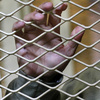 CIA 'Black Sites' Order: A Real Plan Or Just Politics?