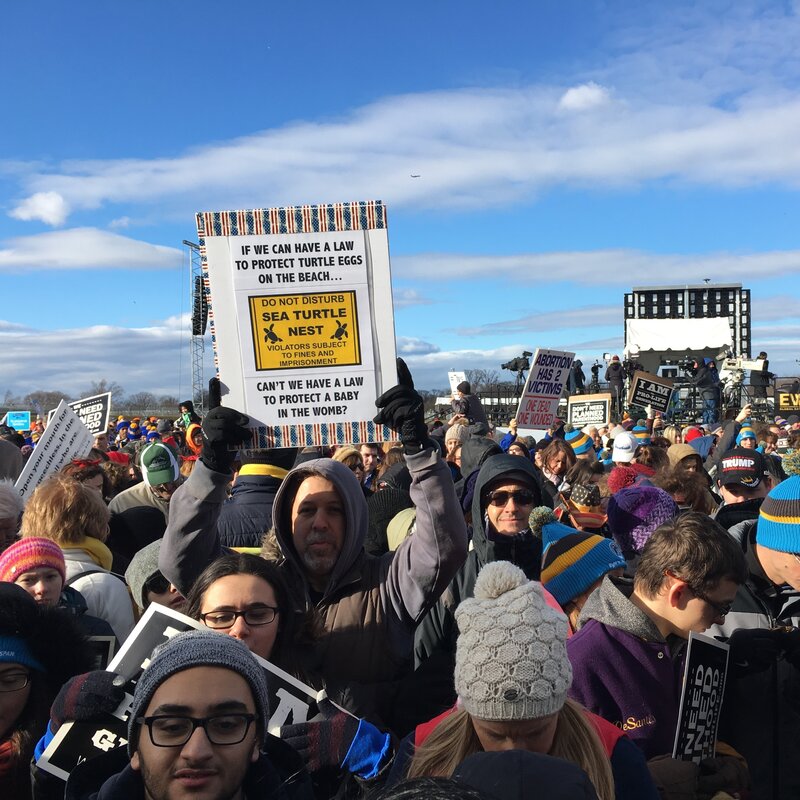 Planned Rouse Protests Nationwide Rallies Dueling The Parenthood aqBw1az