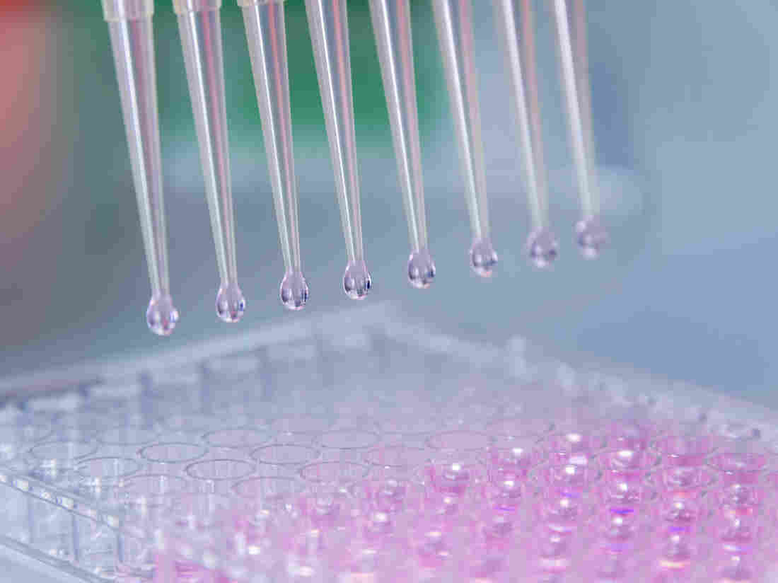 Tania Lombrozo looks at how science establishes facts — and why it's the best way to do it.