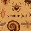 From Vector To Zoonotic: A Glossary For Infectious Diseases
