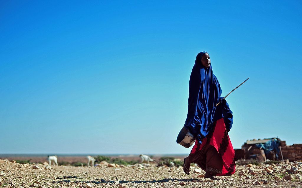 Drought in Somalia has severely affected livestock for local herdsmen, as well as farmers' crops. The U.N. says action is needed to prevent famine in the region. (AFP/Getty Images)
