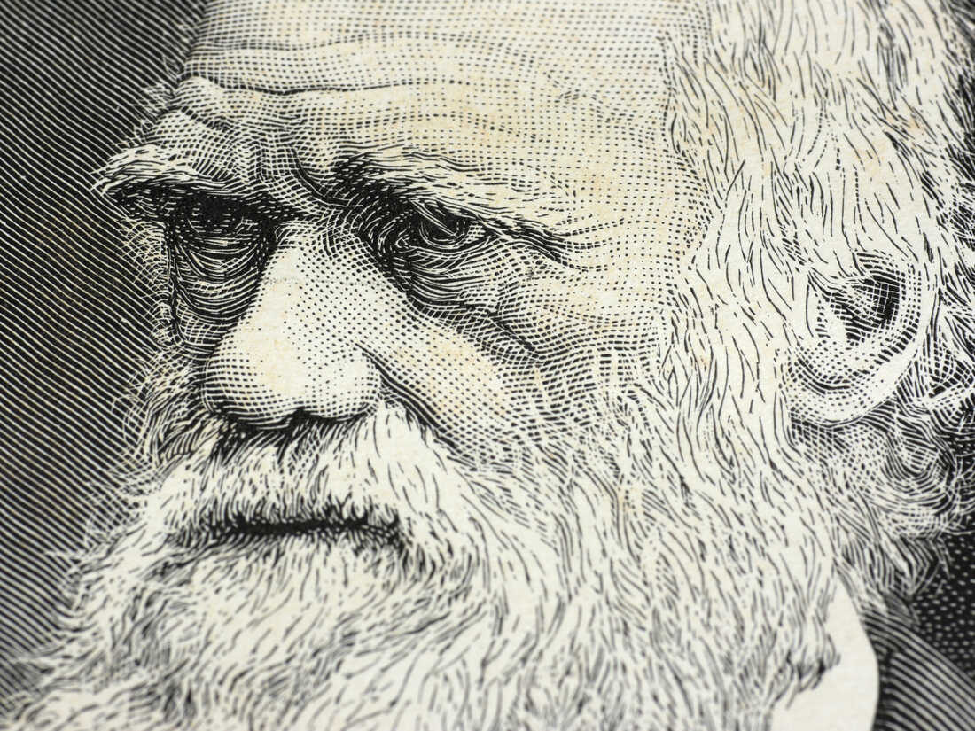 Three Things You Might Not Know About Charles Darwin : 13.7