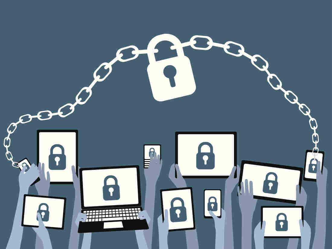 The people involved in organizing and promoting cryptoparties say the presidential election spurred activists, journalists and everyday citizens to attend the get-togethers to learn how to anonymously use the Internet.