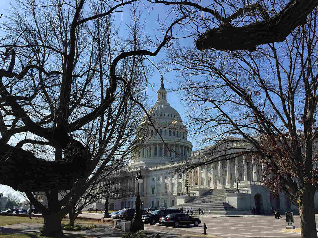 The Capitol building earlier this month.