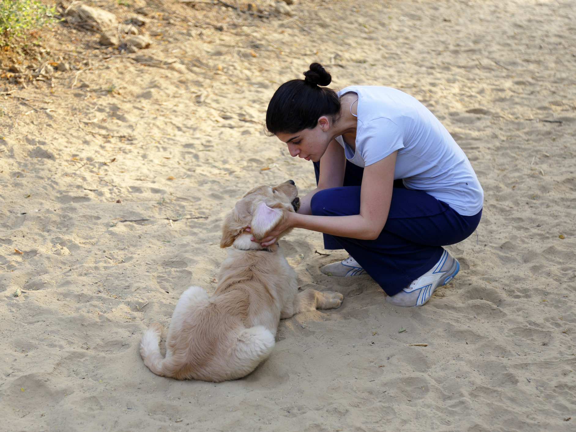 Pet-directed speech may convey intentions in subtle ways