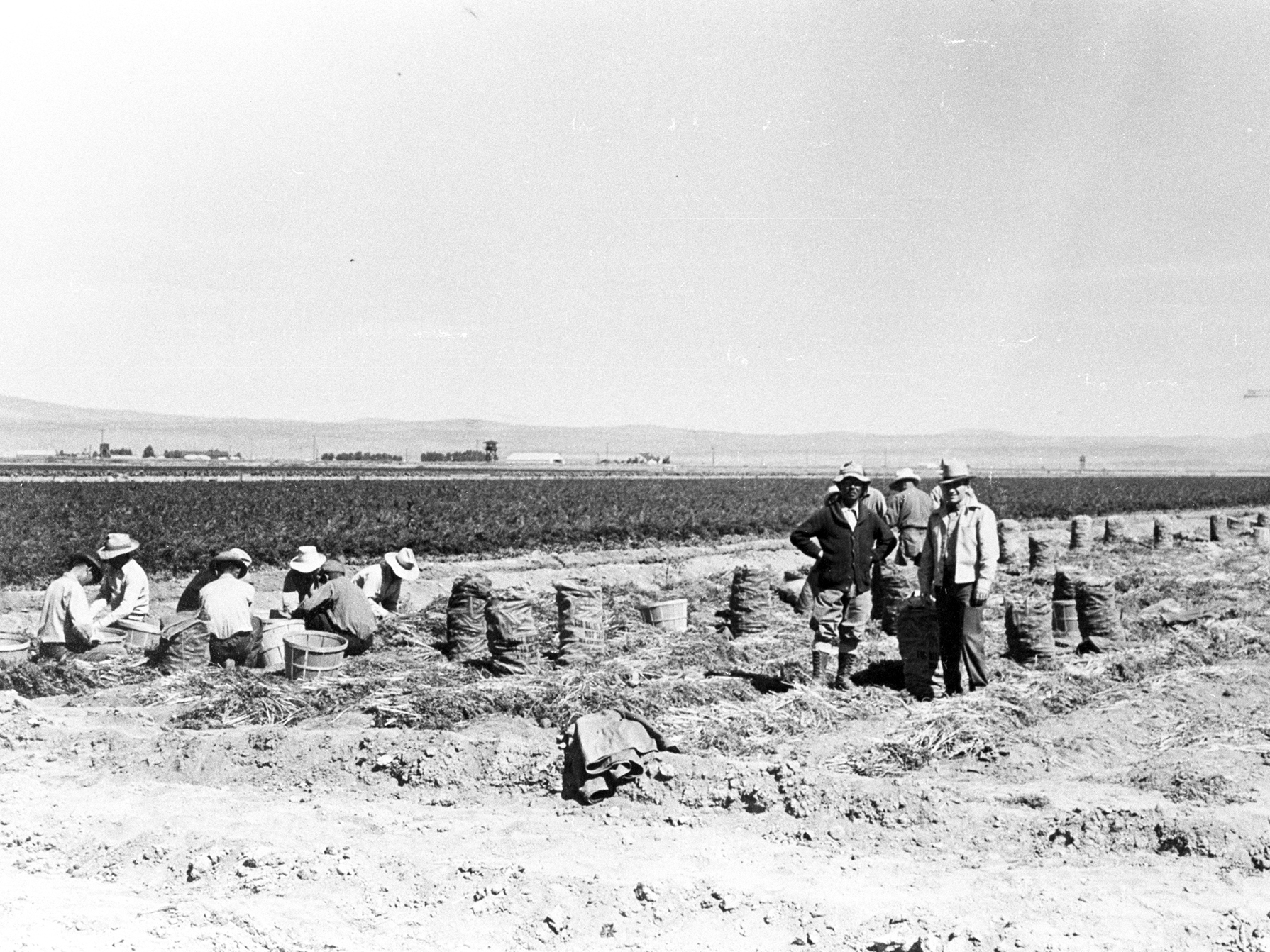 Farming Behind Barbed Wire: Japanese-Americans Remember WWII Incarceration