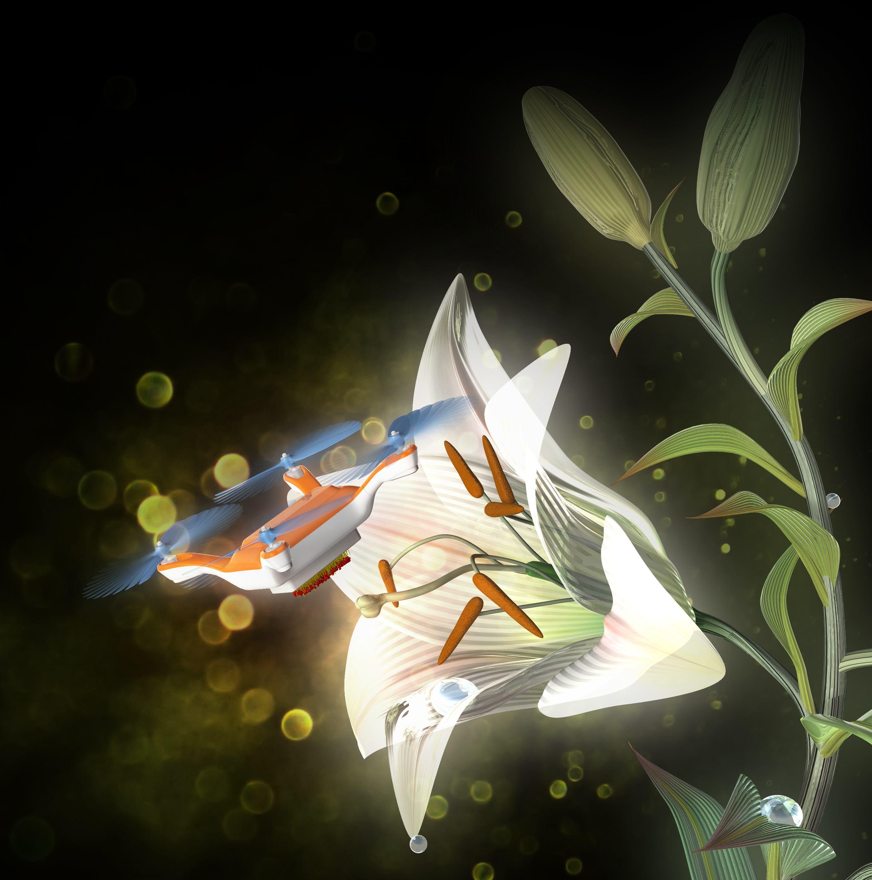 An artist's illustration shows how a remote-controlled drone might one day be used to pollinate flowers. (Courtesy of Dr. Eijiro Miyako)