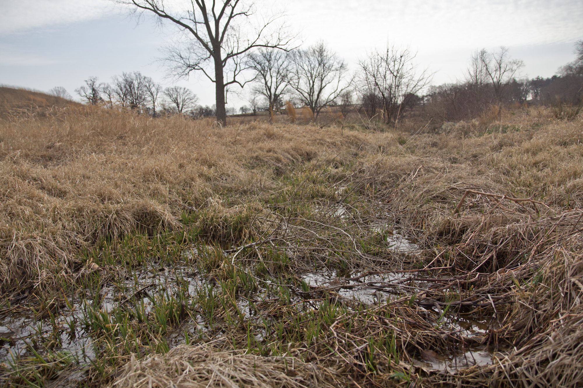 Massey Run, an intermittent stream that runs into Crum Creek in Pennsylvania's Chester County, is impacted by the Waters of the United States rule. (WHYY)