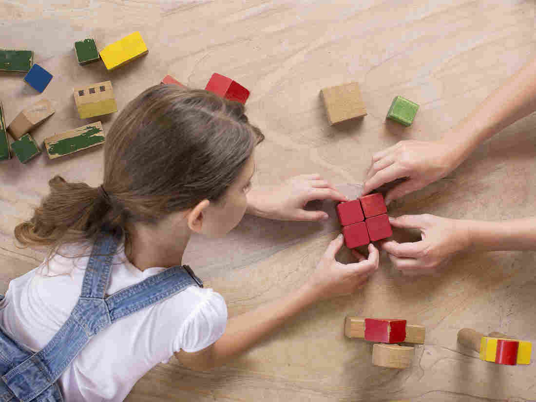 A newly published study suggests children with autism may have a heightened drive to explain the physical world, says Tania Lombrozo.