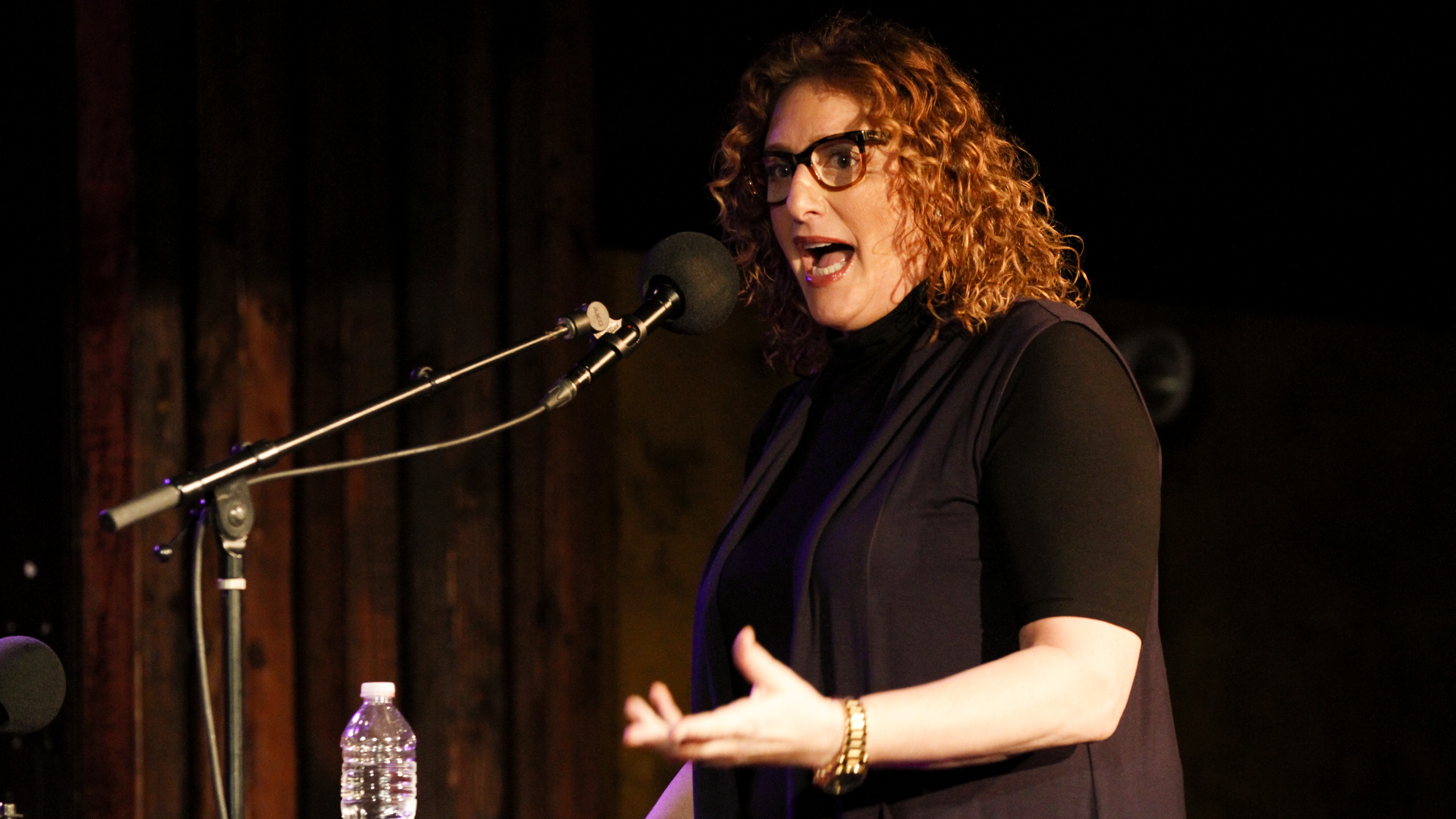 Judy Gold Very Special Episodes Ask Me Another NPR