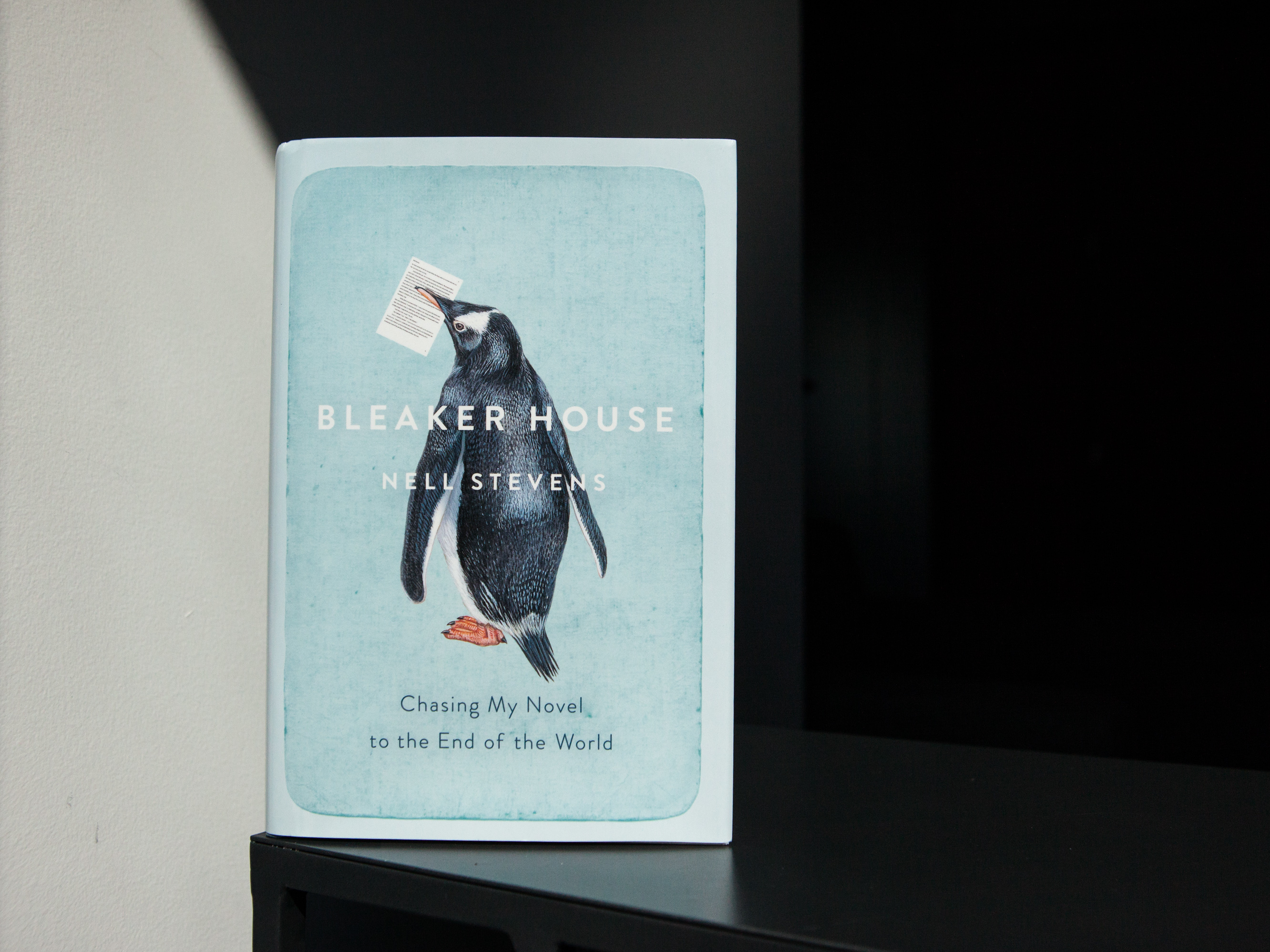 A memoir of deprivation, rain and penguins