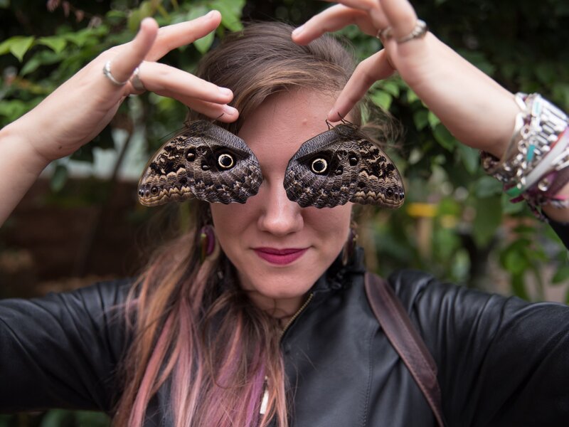 To Put You At Ease With Creepy Crawlies Entomologists Face Your