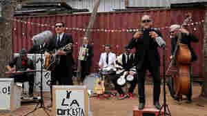 Music Magazine: Sergio Mendoza, Vinyl Collectors And Tejano Punks On Film