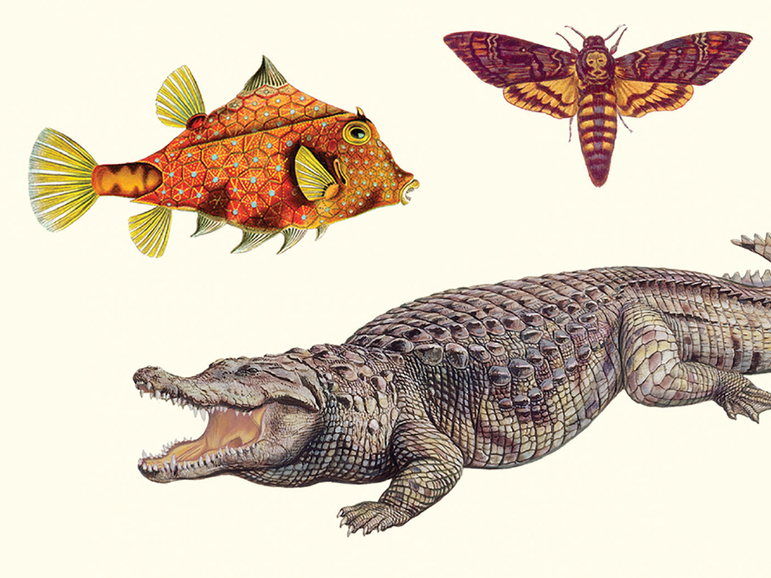 All roads lead back to Florida in 'Sunshine State'