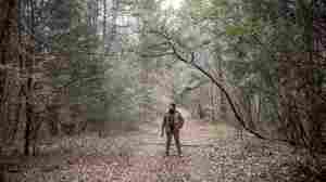 S-Town and Chewing Gum