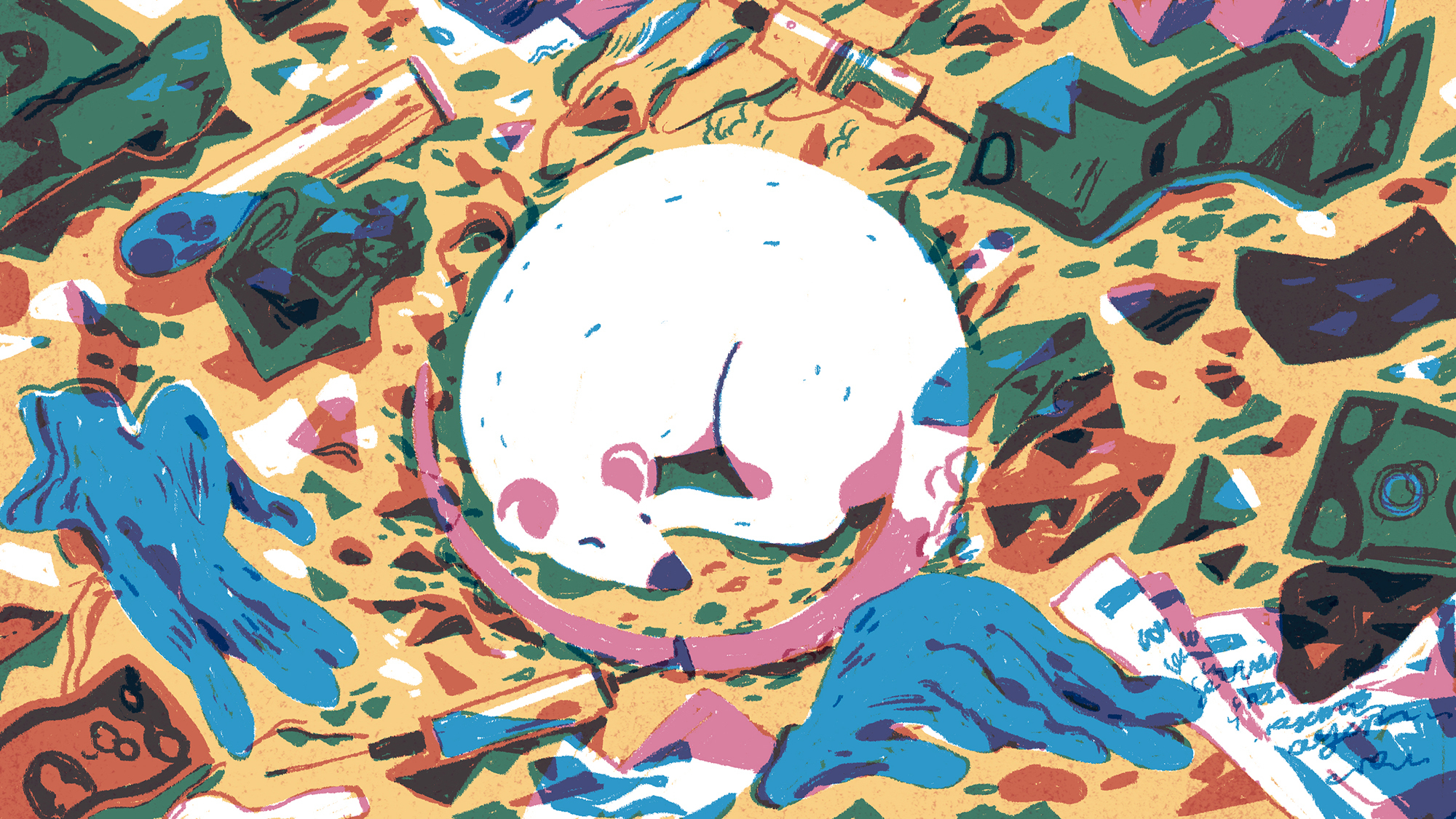 Drugs that work in mice often fail when tried in people