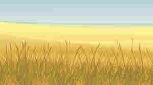 The Beef Over Native American Hunting Rights