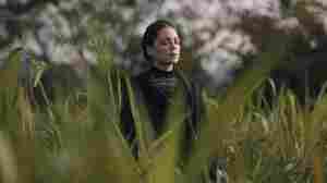Watch Natalia Lafourcade's Graceful Elegy, 'Rocío De Todos Los Campos'