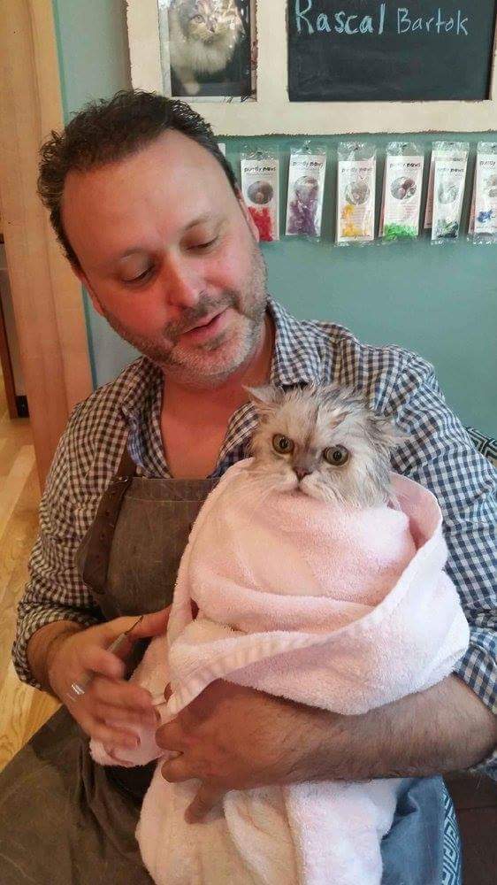 'Brave New Workers' How A Construction Worker Built A New Life As Cat(02)