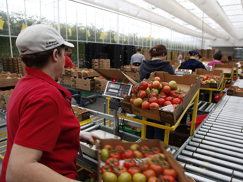 Not Just For Foreign Foods: Fair-Trade Label Comes To U.S. Farms