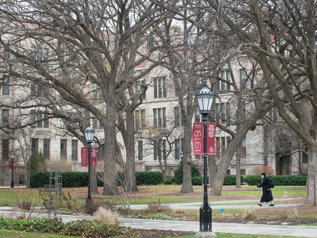 The University of Chicago campus in 2015.