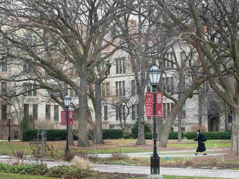 The University of Chicago campus in 2015.
