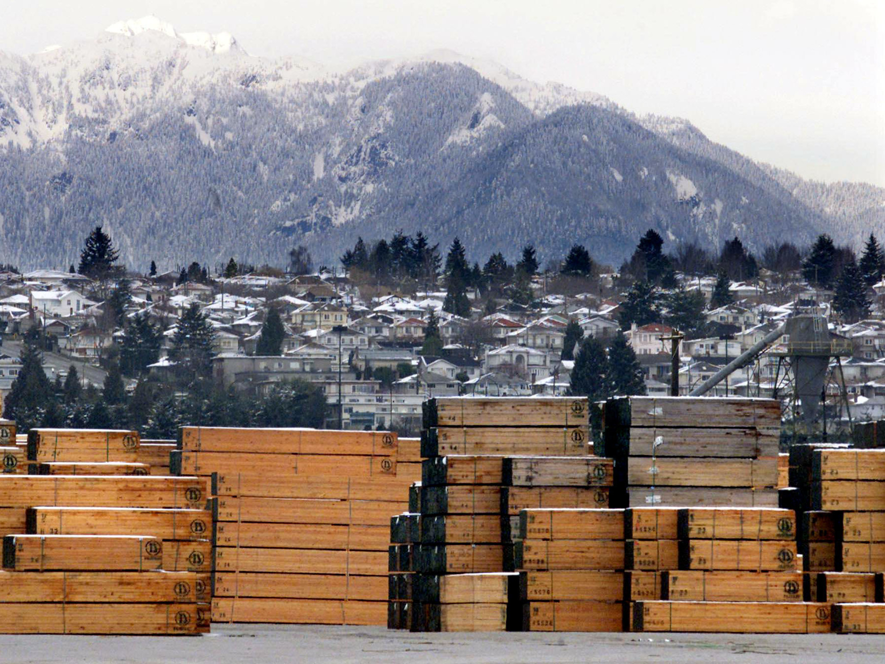 Piles of softwood lumber destined for export are stacked at a Canadian lumberyard in Richmond, British Columbia. (CP)