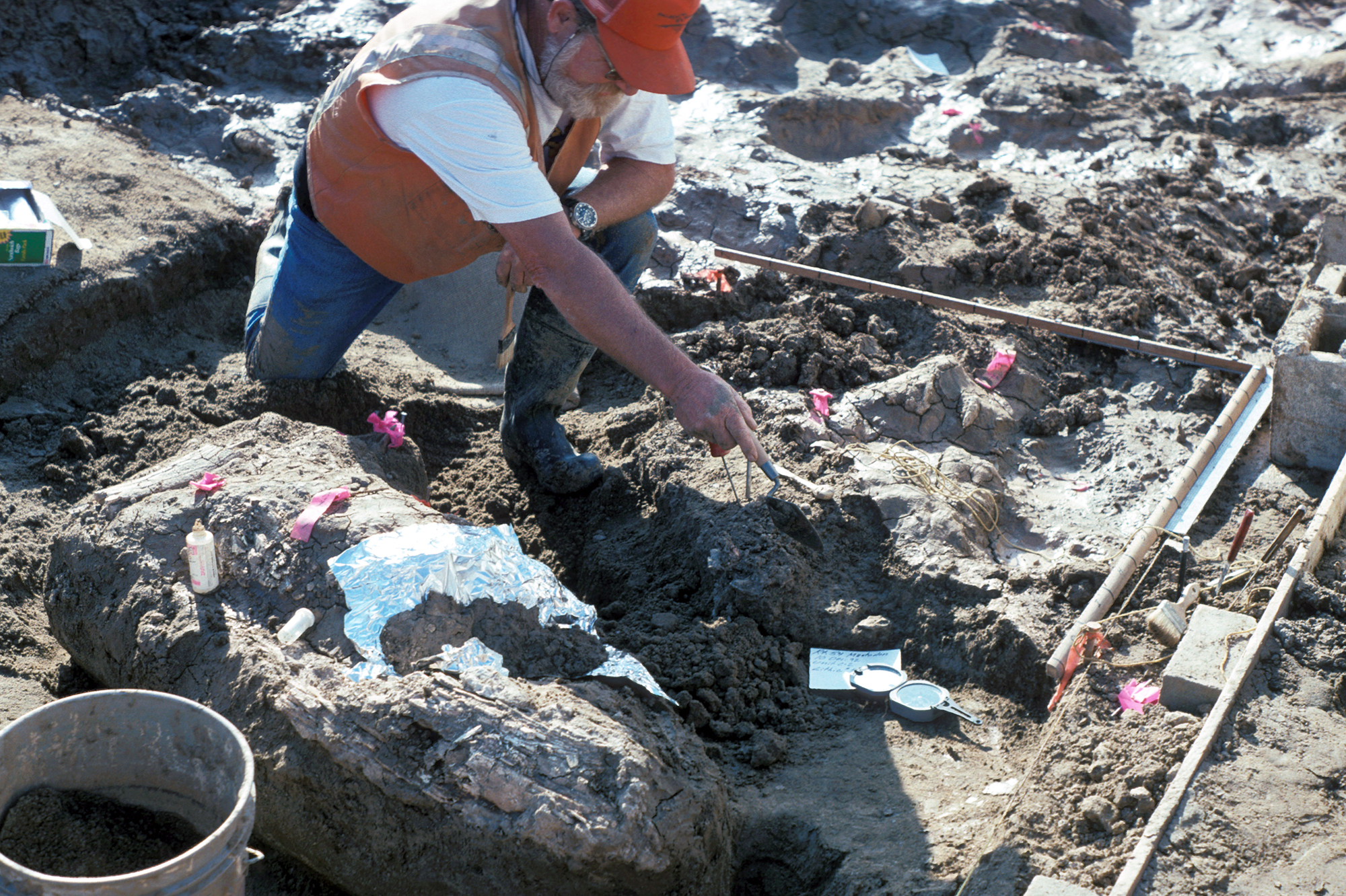 Don Swanson, a paleontologist with the San Diego Natural History Museum, points at a rock fragment near a large horizontal mastodon tusk fragment.
(San Diego Natural History Museum/Nature)