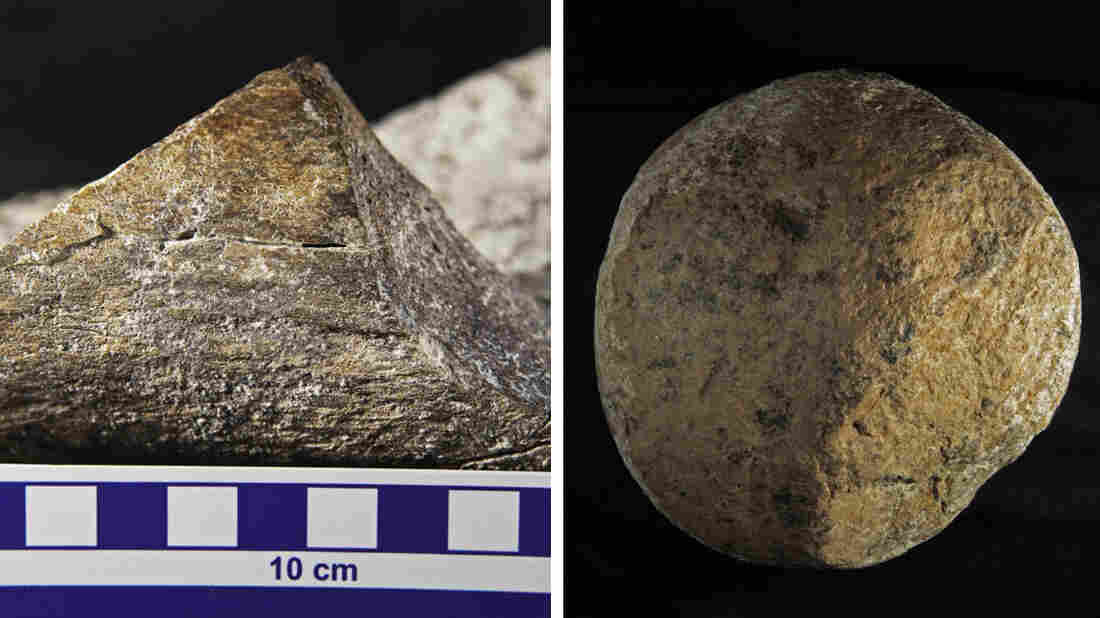 Reasearchers: Mastodon Site Shows Early Human Activity Reasearchers: Mastodon Site Shows Early Human Activity