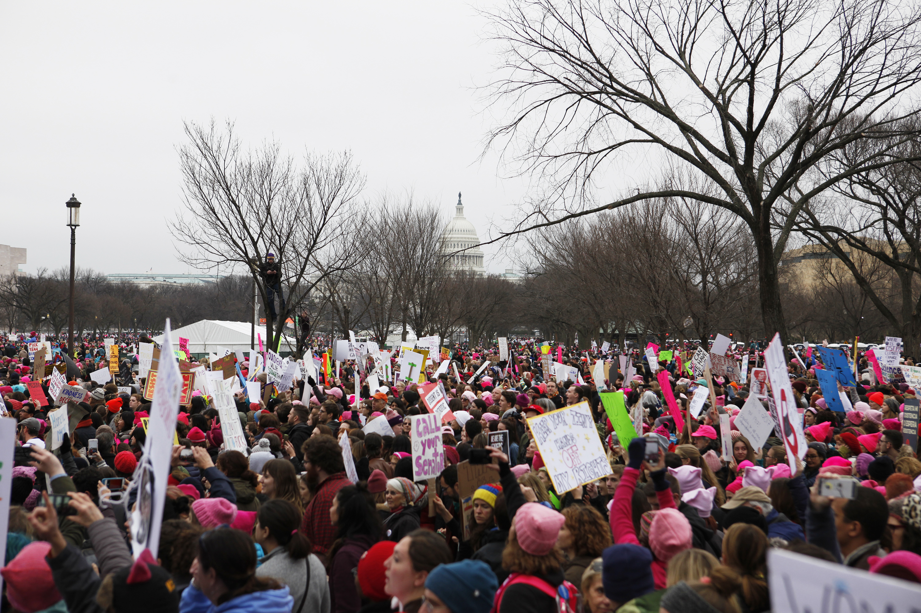 The Women's March brought together more than 400,000 protesters in Washington, D.C., and sparked more than 600 sister marches worldwide on Jan. 21. (NPR)