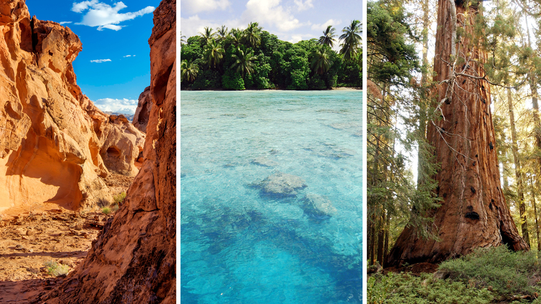 Three of the national monuments now under review by the Department of the Interior: (from left to right) Gold Butte in Nevada, the Pacific Remote Islands and Giant Sequoia in Northern California. (Bureau of Land Management/Flickr; U.S. Fish and Wildlife Service/Flickr; David McNew/Getty Images)